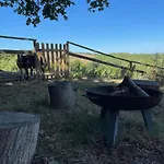 The Kuhvee