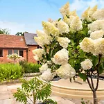 Poppy Cottage