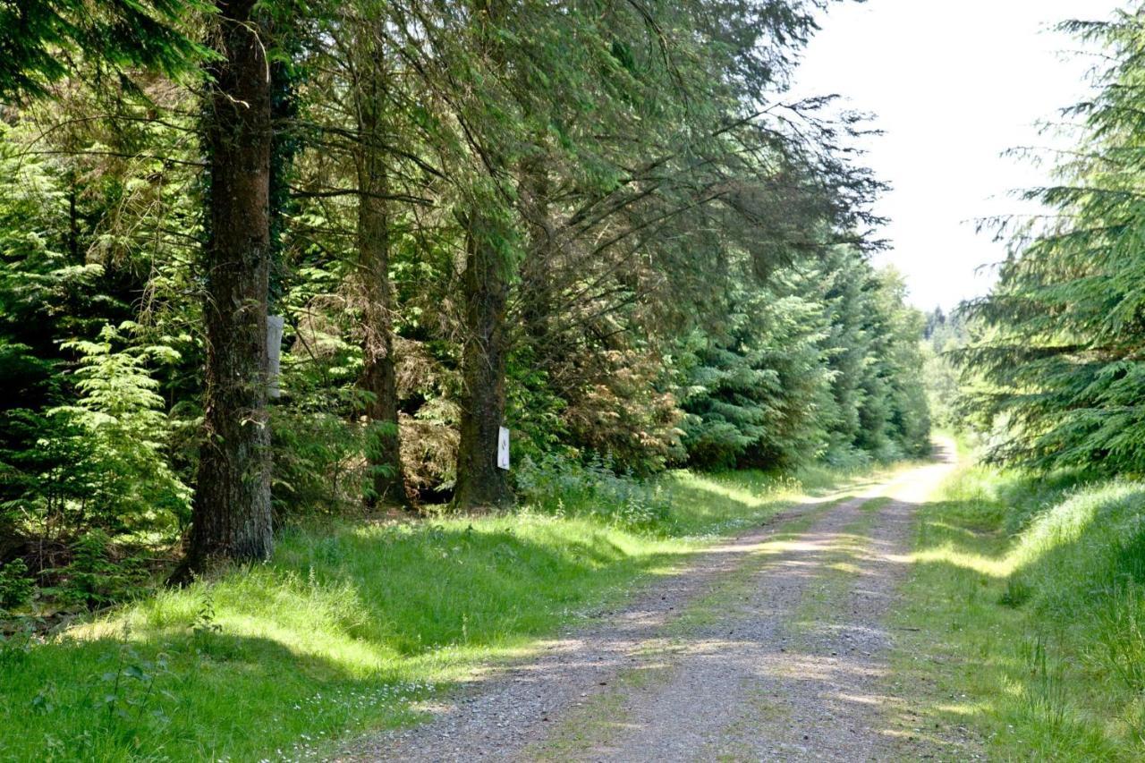 Haldon Forest Lodge, Hébergement de vacances Exeter
