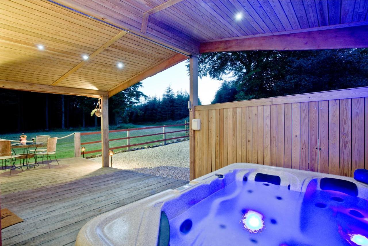 Haldon Forest Lodge, Hébergement de vacances