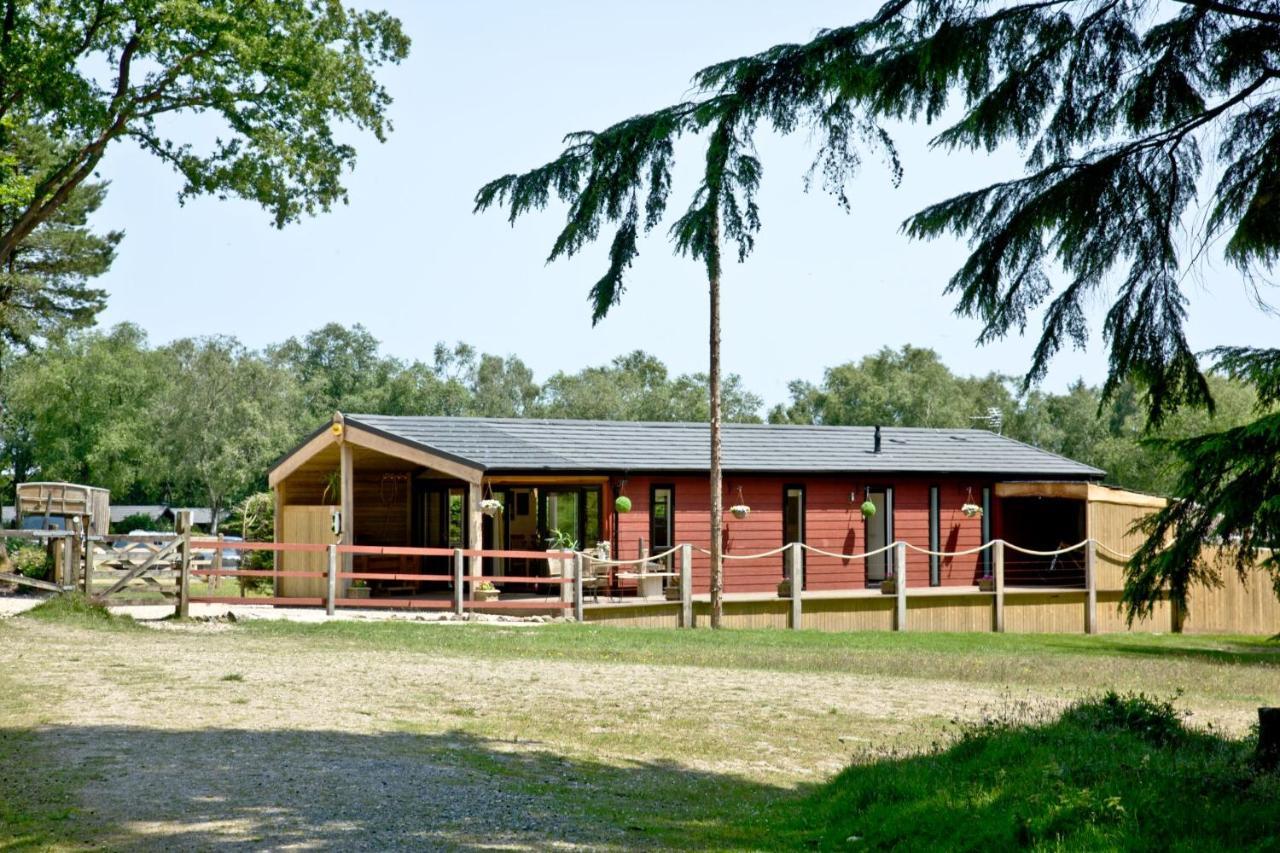 Haldon Forest Lodge, Hébergement de vacances Exeter