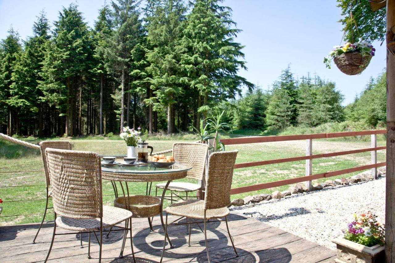 Hébergement de vacances Haldon Forest Lodge,