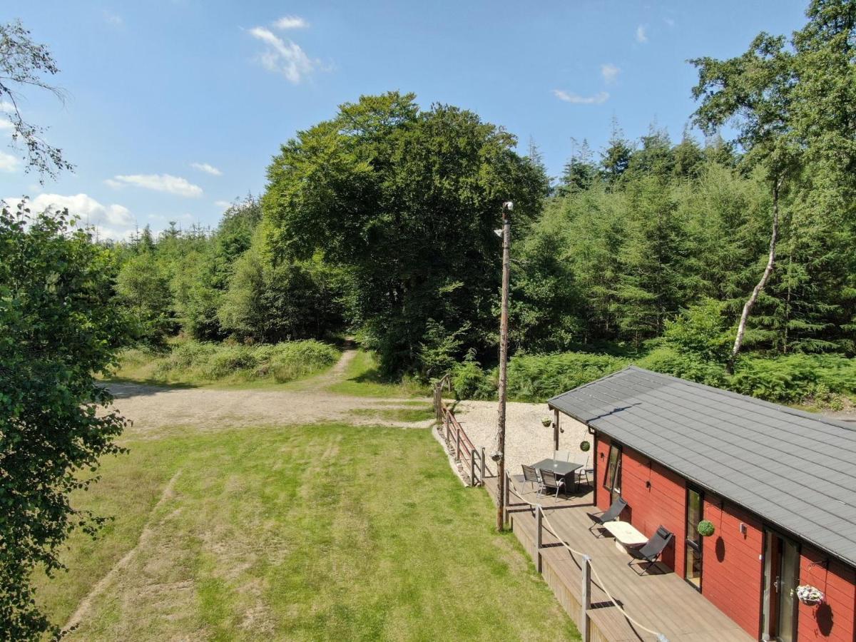 Haldon Forest Lodge,
