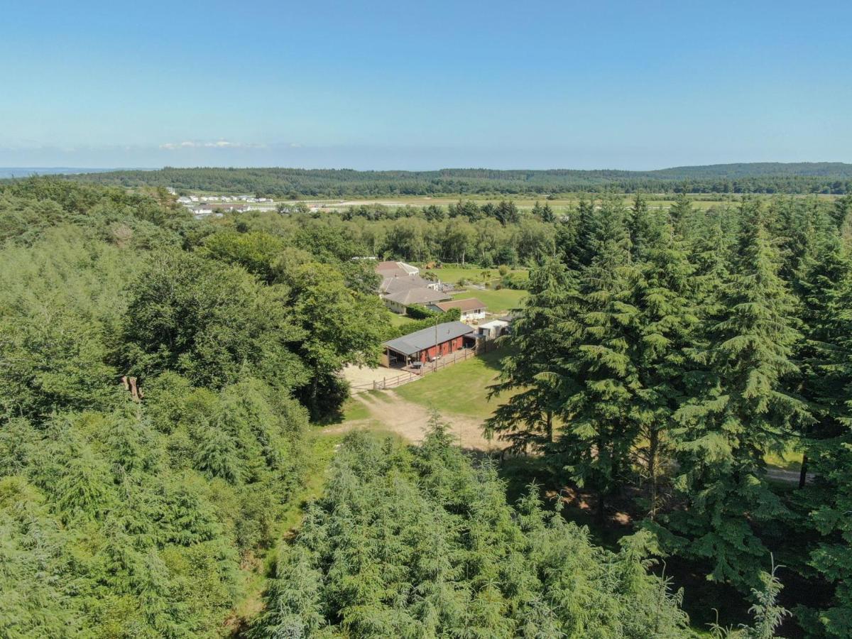 Haldon Forest Lodge, Hébergement de vacances Exeter
