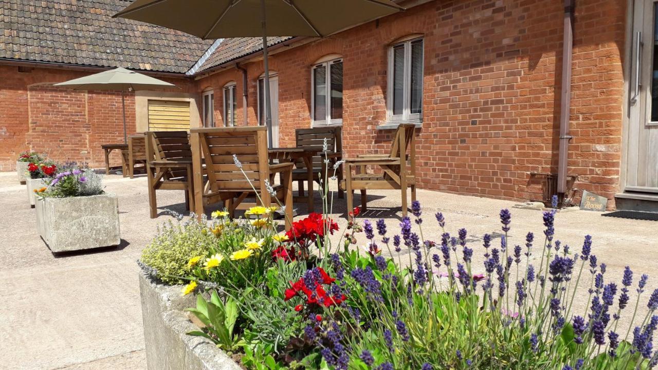 Courtbrook Farm Exeter