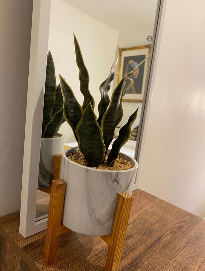 Stunning 2 Bed Apartment, In The Heart Of Exeter!
