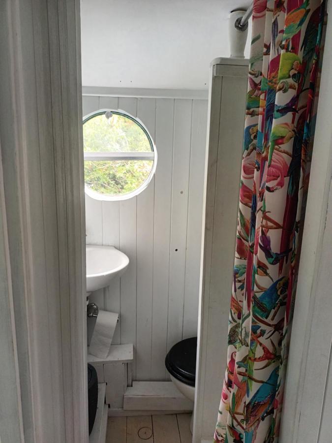 Converted French Bus With Stunning Views * Exeter