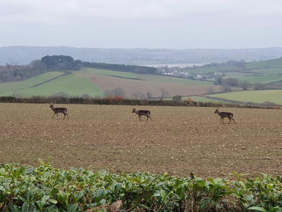 Hébergement de vacances Deer Vue Exeter