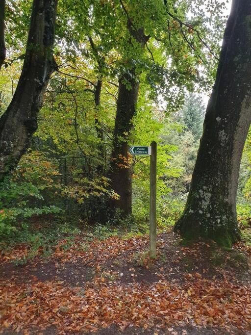 Hébergement de vacances Deer Vue