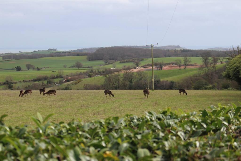 Deer Vue Exeter
