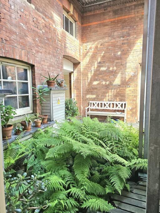 Apartment Art House