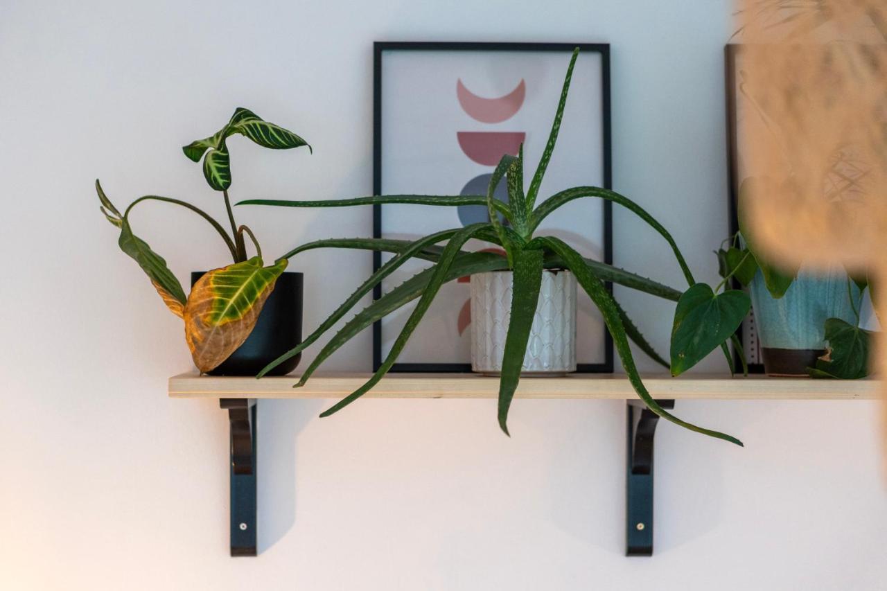 Athelstan Townhouse - A Chic Townhouse In The Heart Of Historical 5mins To Centre *
