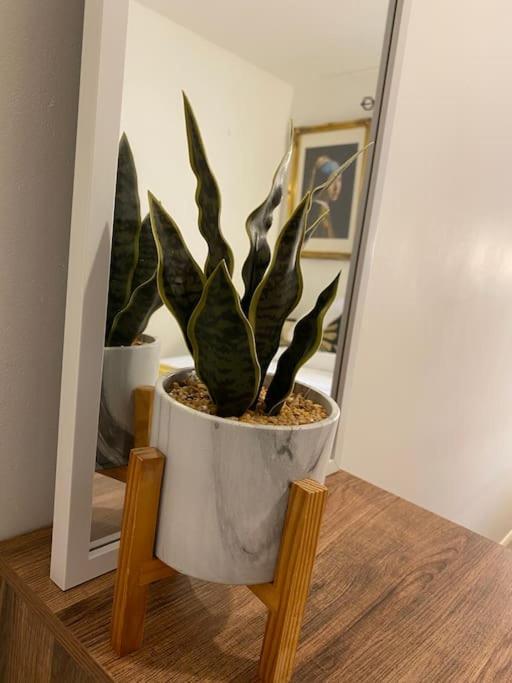 Stunning 2 Bed Apartment, In The Heart Of Exeter! Apartment Exeter