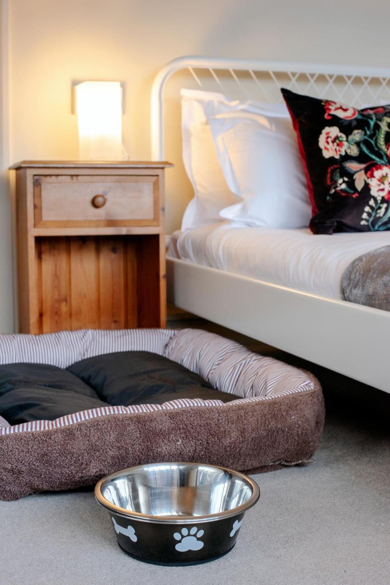 Apartment Bendene Townhouse - Exeter