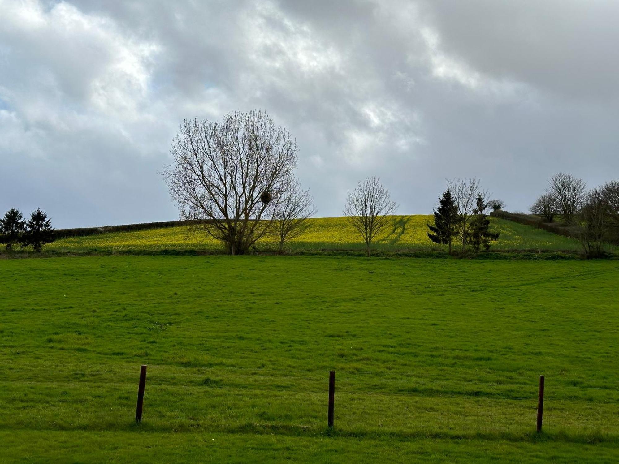 Springwell