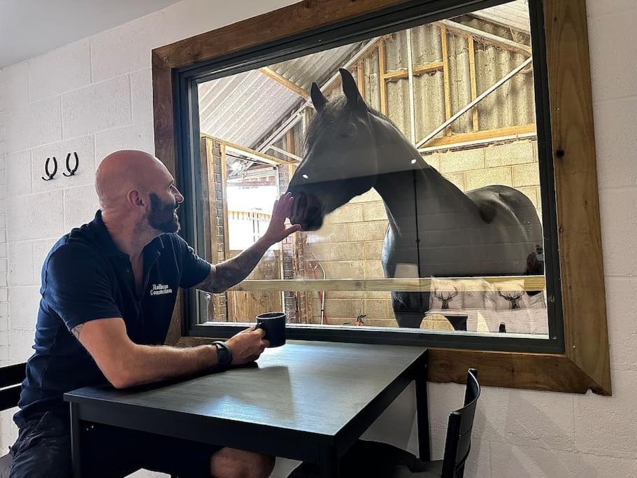 Sleep Next To A Horse In A Stable By The ! Exeter