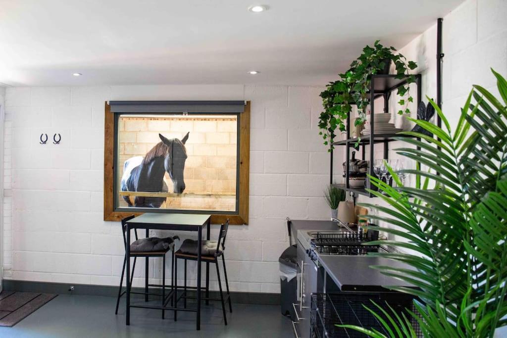 Apartamento Sleep Next To A Horse In A Stable By The ! *