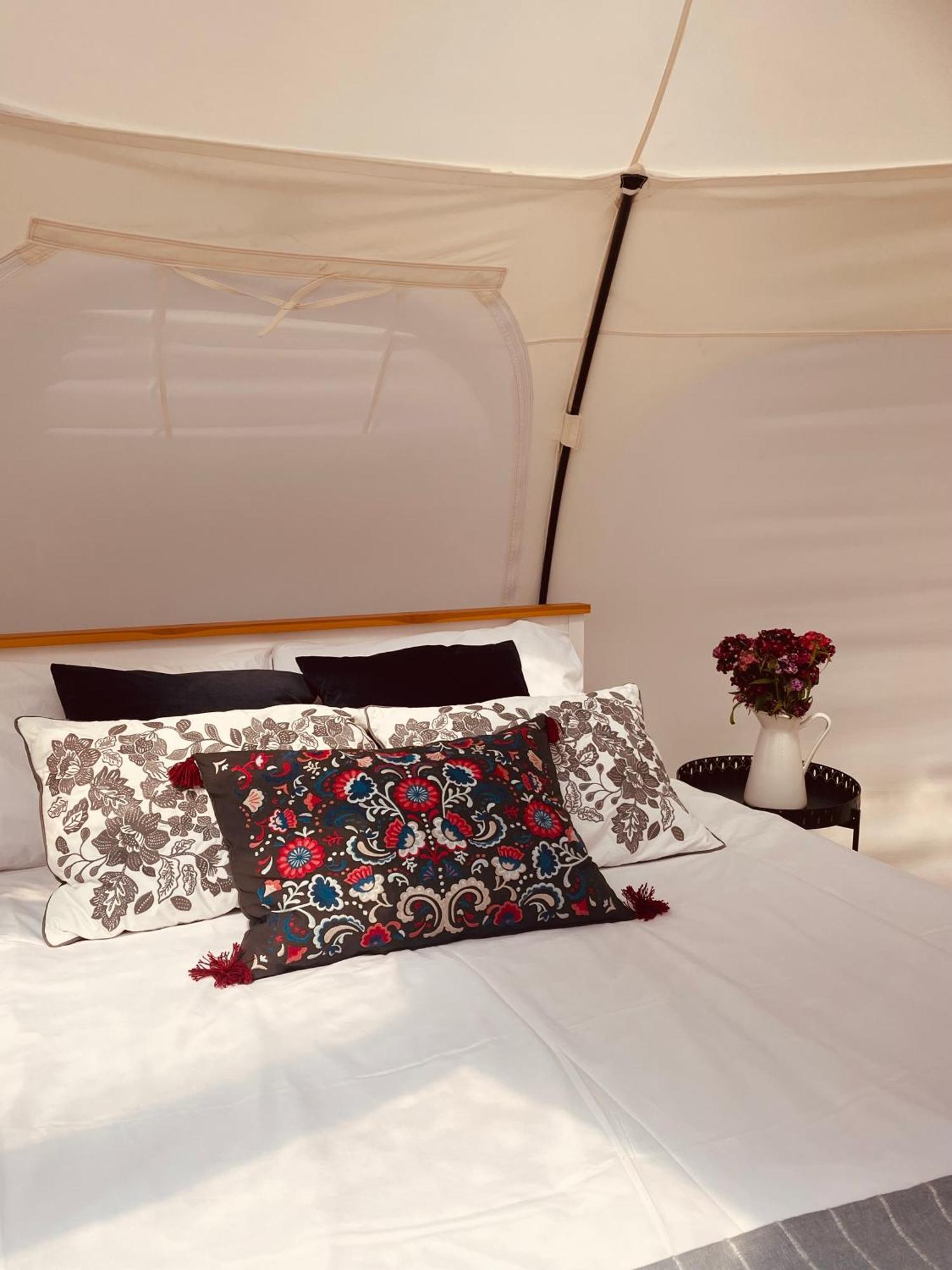 Camping Nest And Nurture