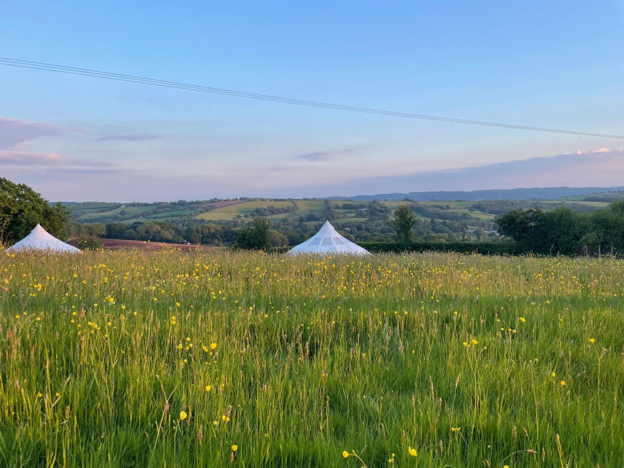 Nest And Nurture Camping