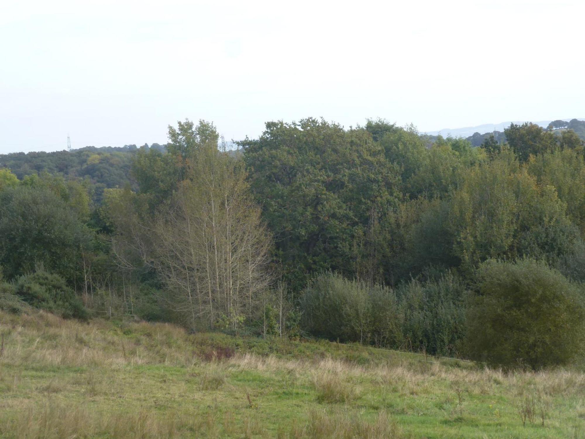 Casa de férias Briardene - Devon Countryside - Sleeps 6 Exeter