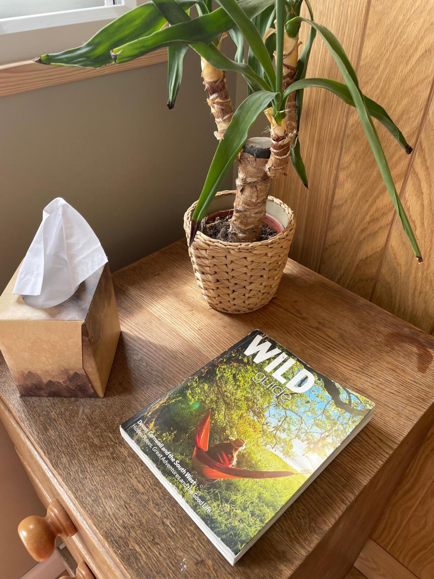 Camping Nest And Nurture Exeter