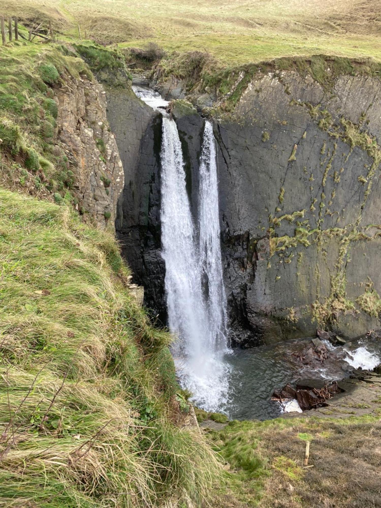 Cosy North Devon Within Hartland Forest Exeter