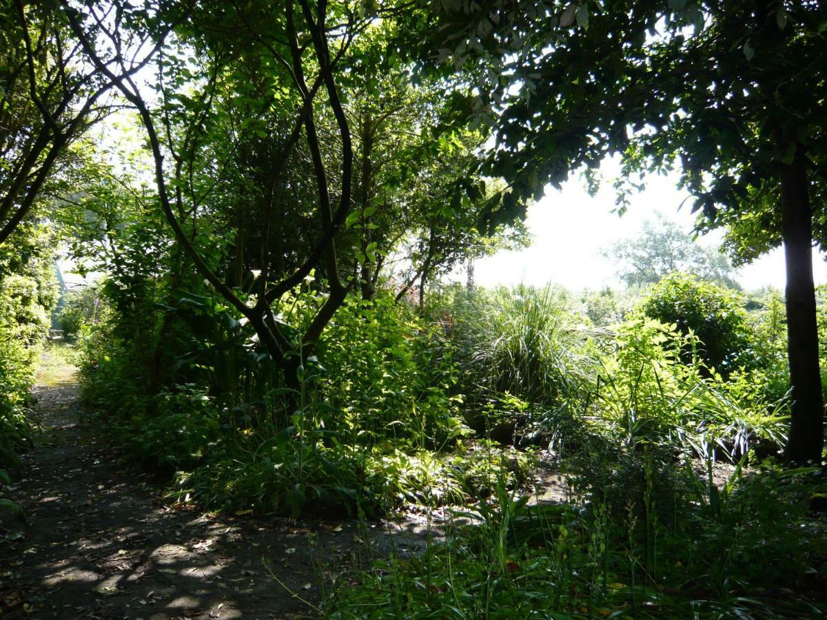 The Croft - Cockwood Harbour Near Guest house Exeter