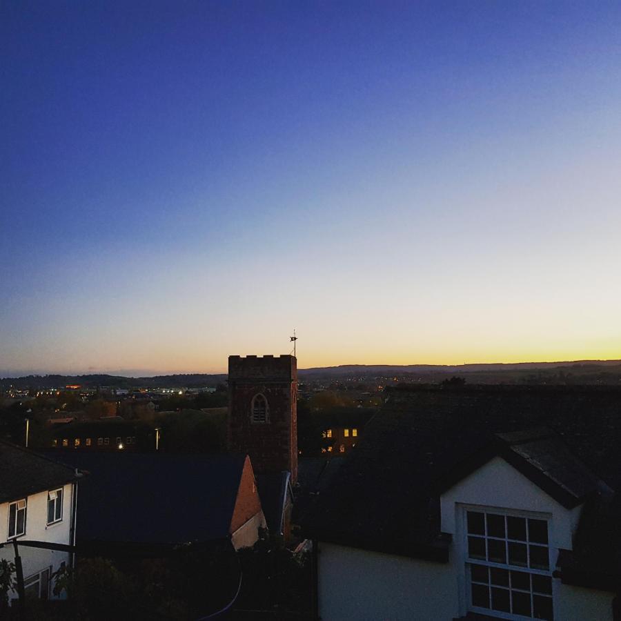 Seagull * Exeter