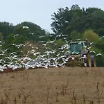 Courtbrook Farm