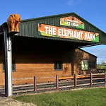 Wagon Linhay - Orange Elephant
