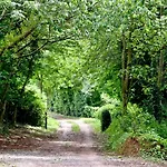 Willow Lodge, South View Lodges, Exeter