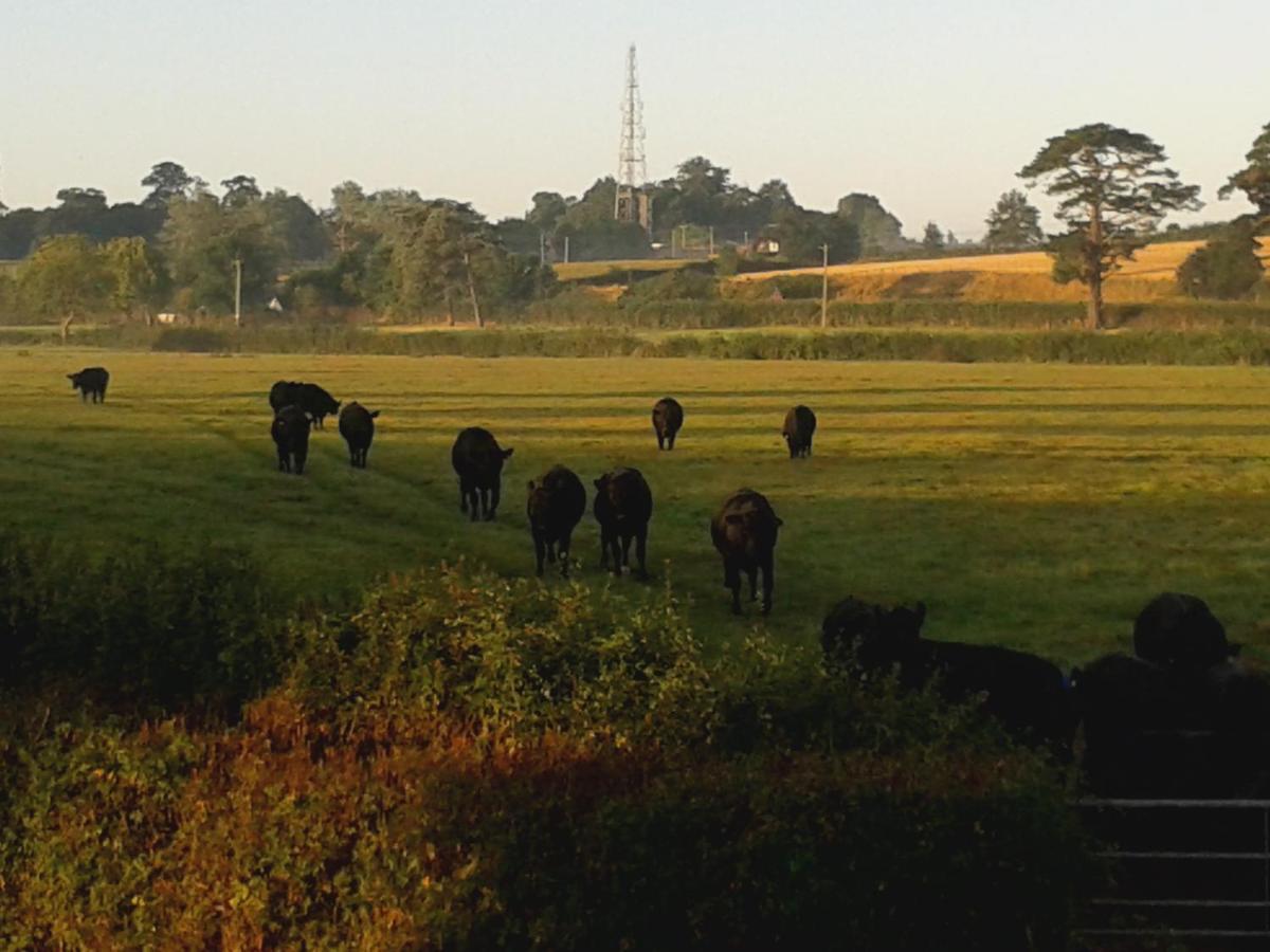 Courtbrook Farm * Exeter