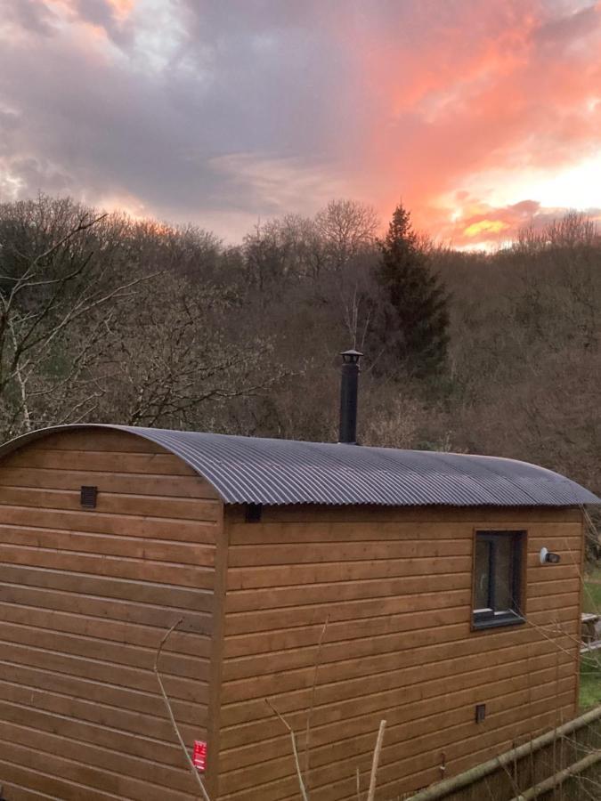 Herdwick Shepherd Hut * Exeter