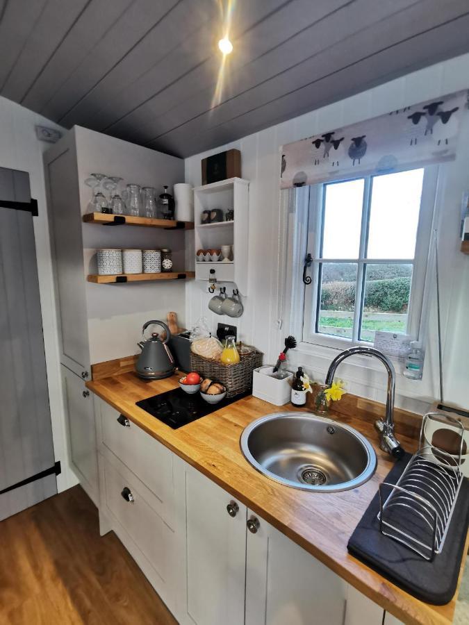 Elvan Farm Shepherd's Hut Holiday home