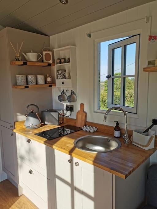 Elvan Farm Shepherd's Hut Holiday home