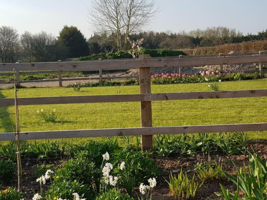 Sweet Meadow Appartement Exeter