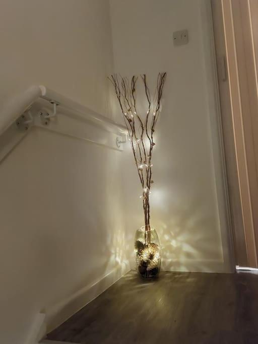 Comfortable 2 Bedroom House In Historic Apartment Exeter