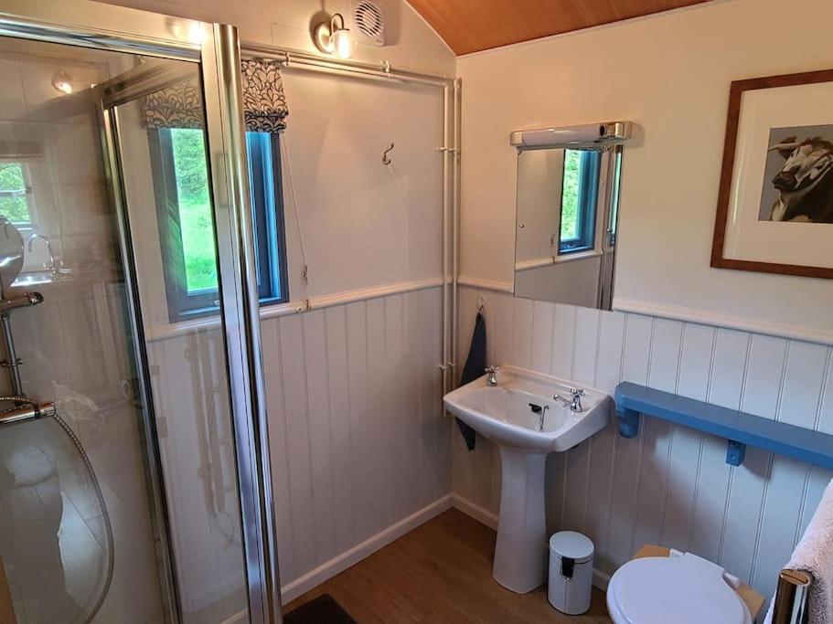 Penn Bergeyn Shepherd's Huts * Exeter
