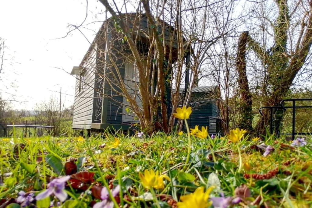 Apartment Penn Bergeyn Shepherd's Huts Exeter