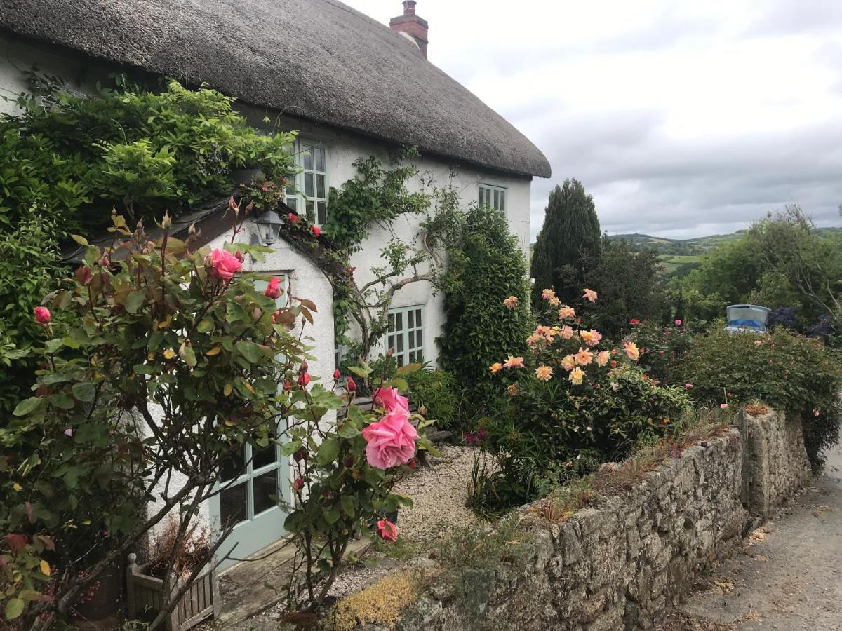 Remote Thatch On Dartmoor With Hot Tub Holiday home *