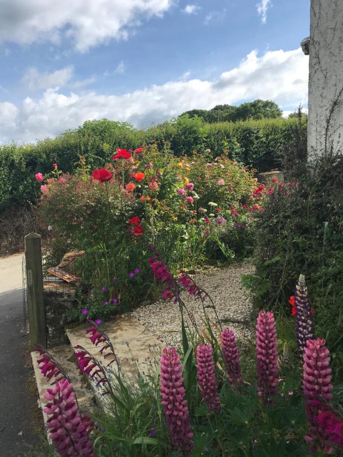 Remote Thatch On Dartmoor With Hot Tub Holiday home