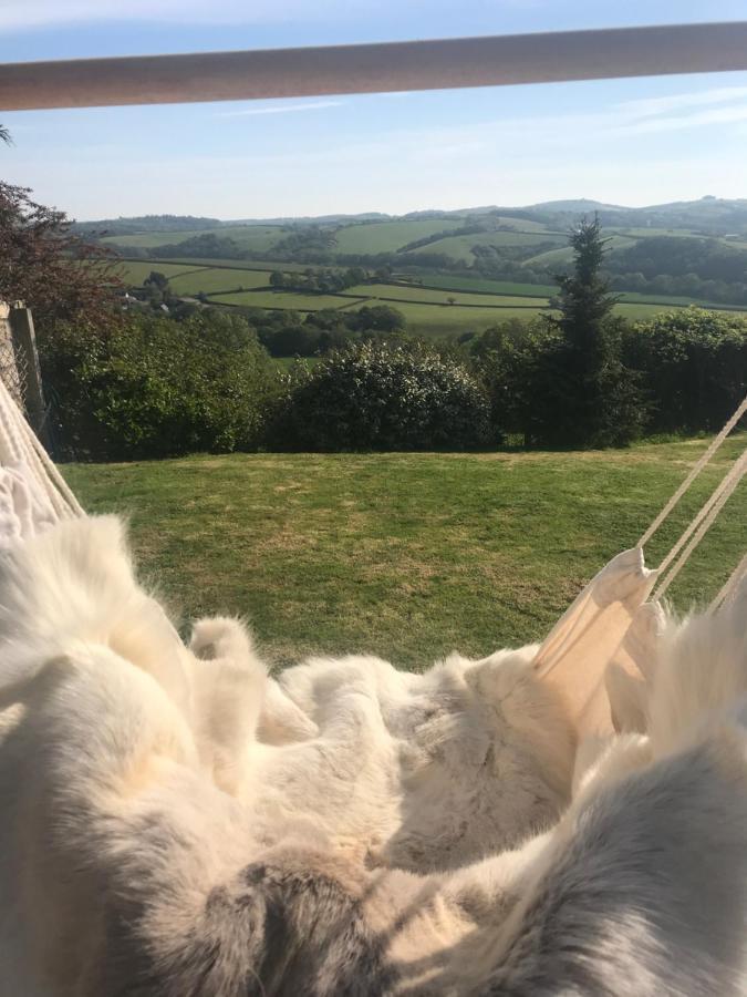Remote Thatch On Dartmoor With Hot Tub Holiday home Exeter
