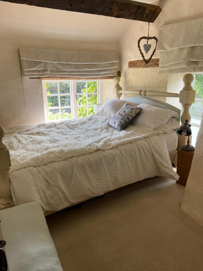 Remote Thatch On Dartmoor With Hot Tub Holiday home Exeter