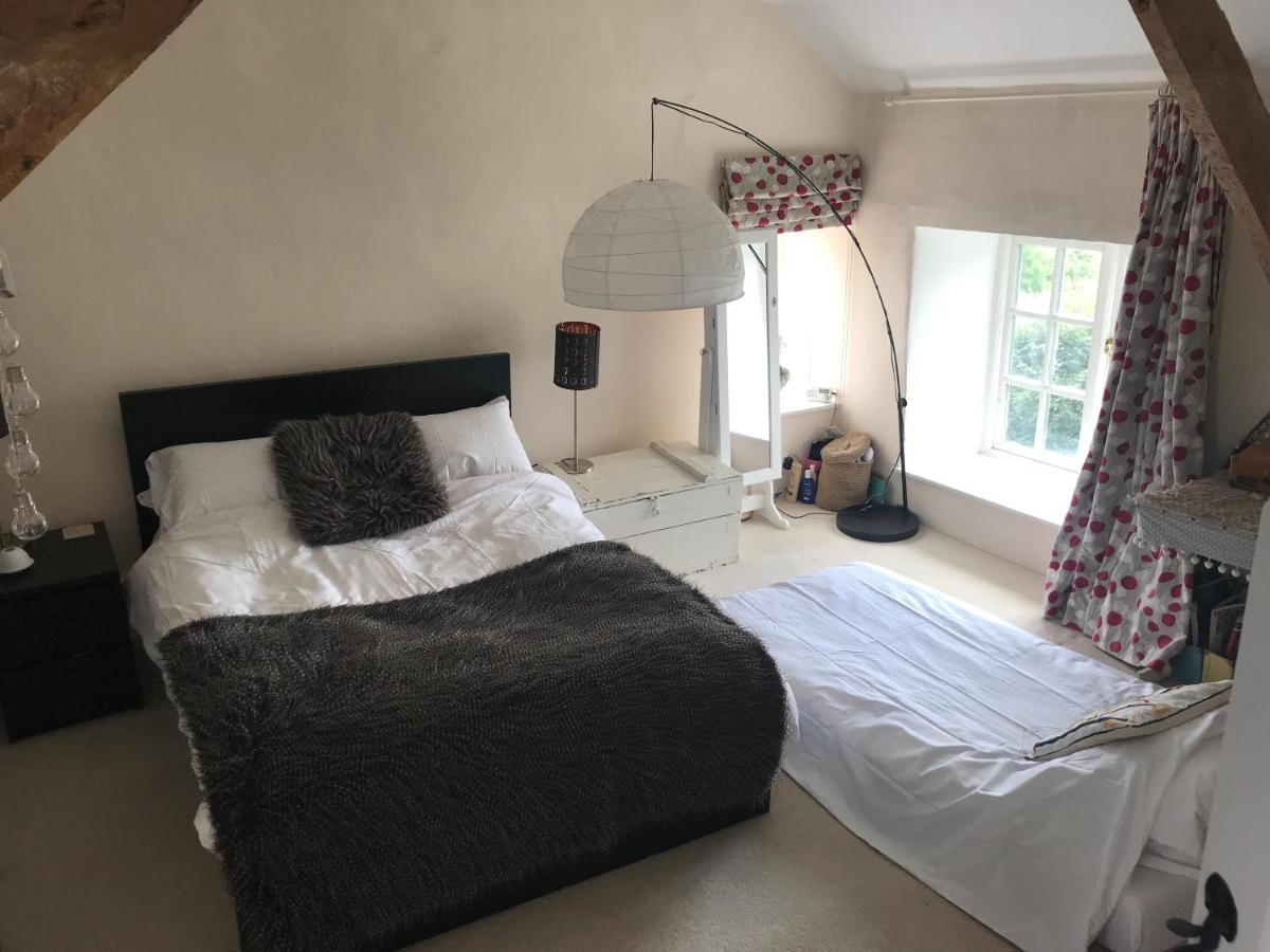 Remote Thatch On Dartmoor With Hot Tub Holiday home