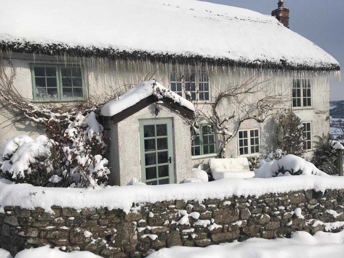 Remote Thatch On Dartmoor With Hot Tub Holiday home *