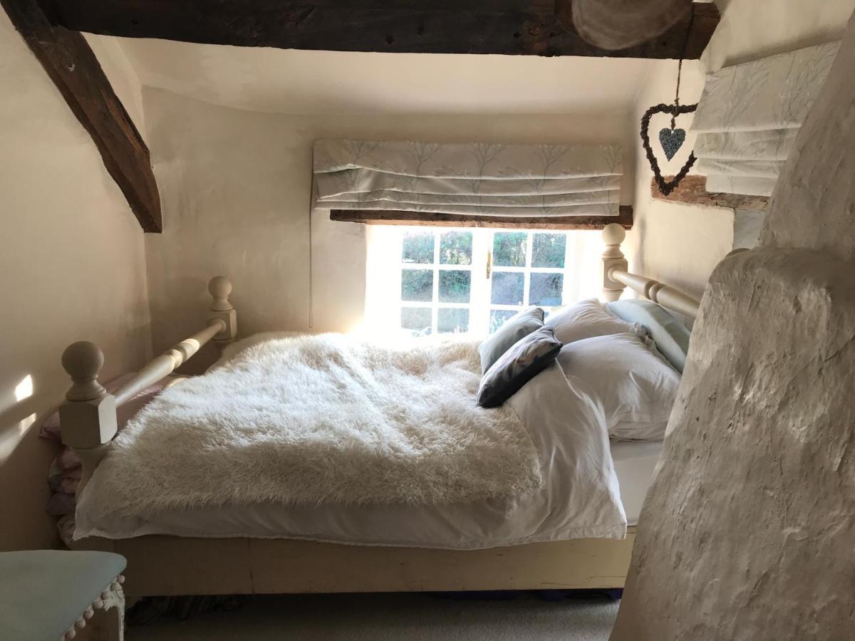 Remote Thatch On Dartmoor With Hot Tub