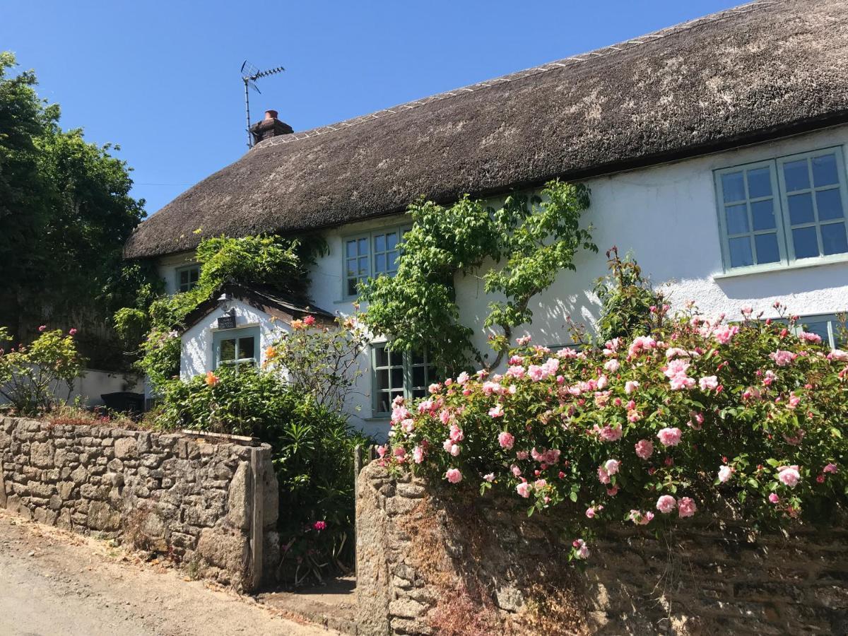 Holiday home Remote Thatch On Dartmoor With Hot Tub