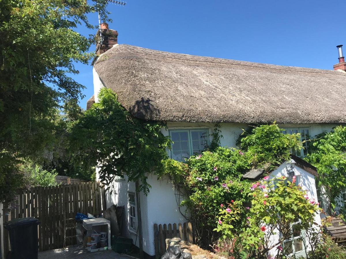 Remote Thatch On Dartmoor With Hot Tub Exeter