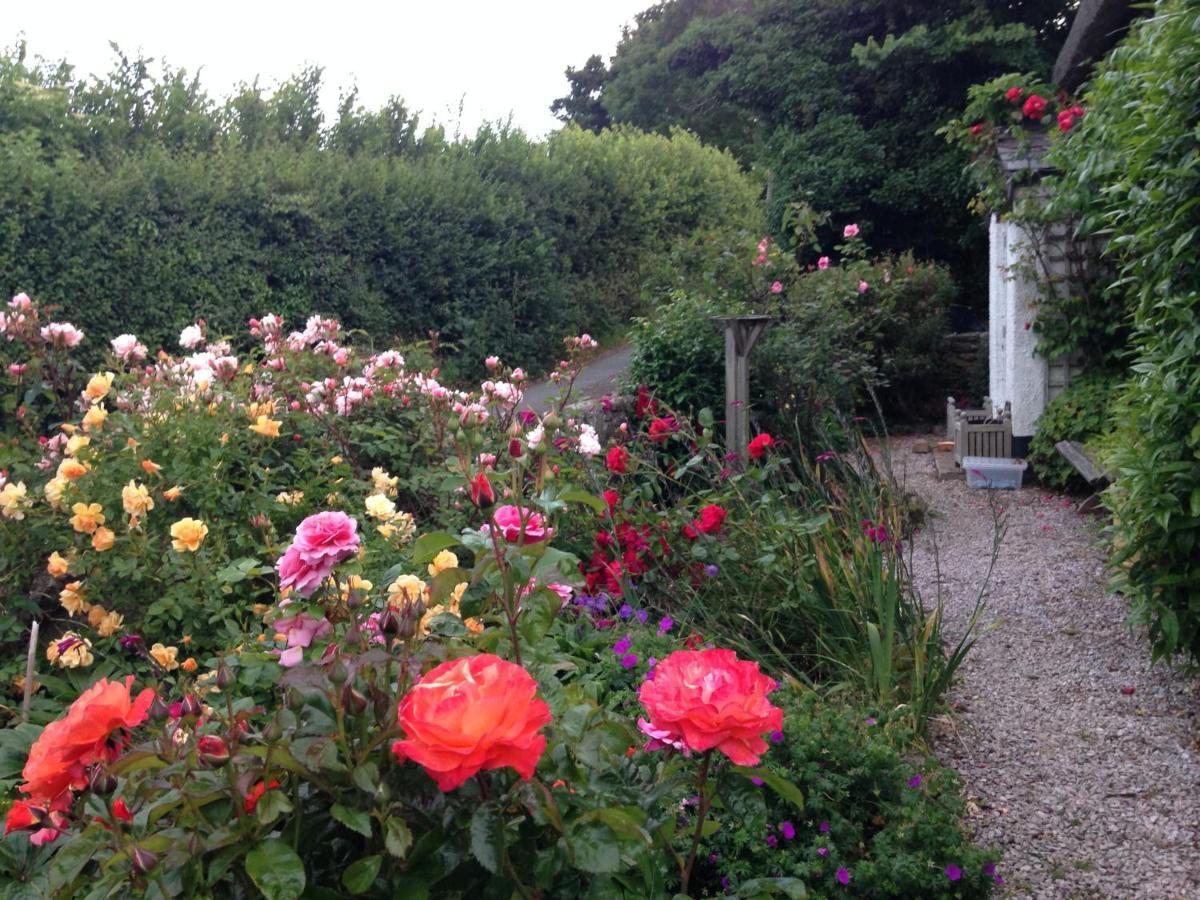 Holiday home Remote Thatch On Dartmoor With Hot Tub Exeter