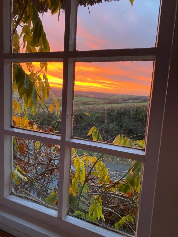 Remote Thatch On Dartmoor With Hot Tub Holiday home Exeter